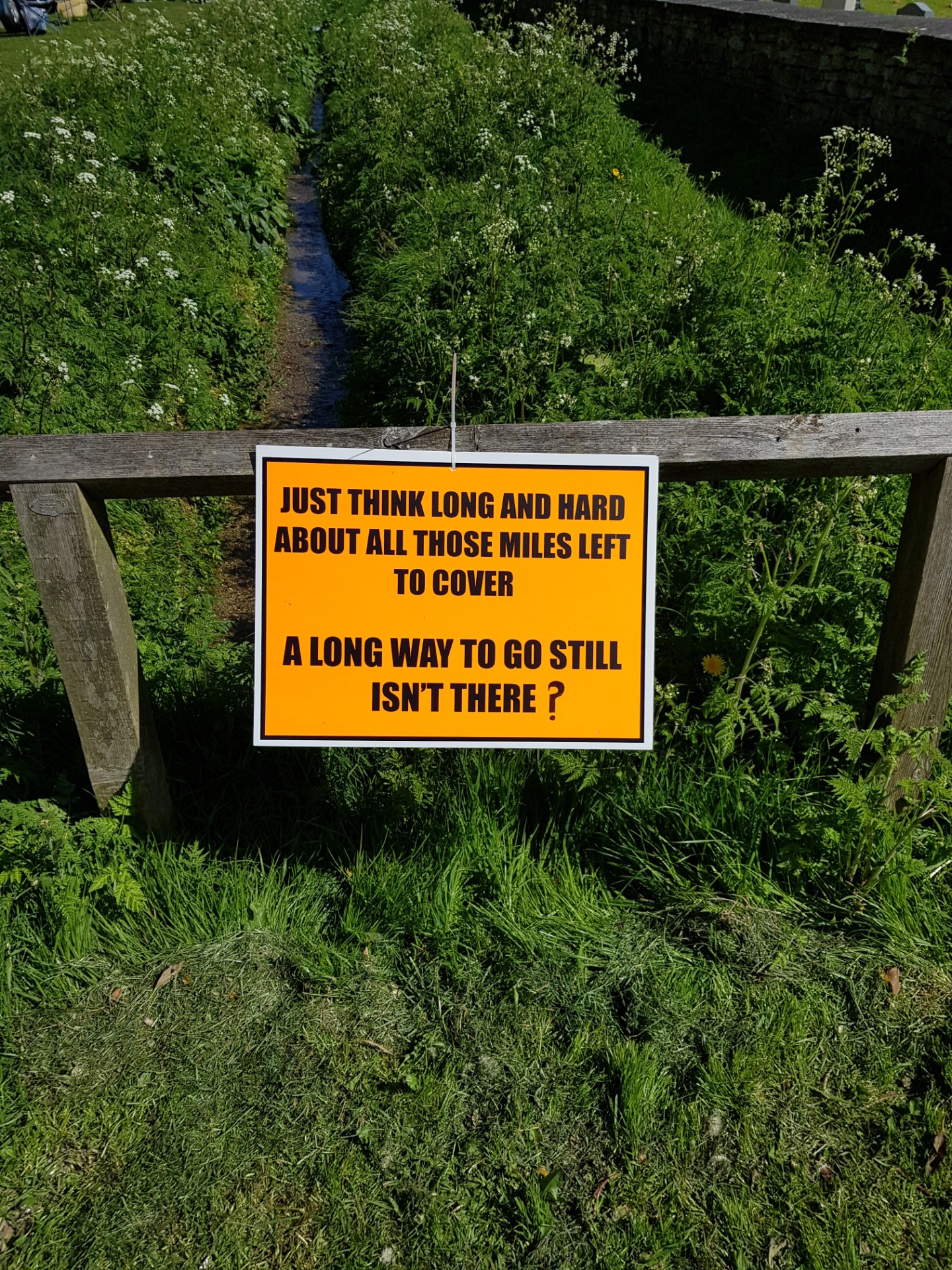 Comedy Gold Motivation