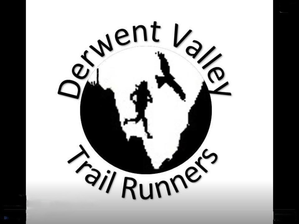 Original Basic DVTR Logo Design 2015